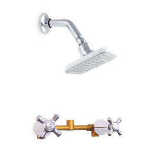 REGADERA DUCHA CONJUNTO ANTIUS PLUS
